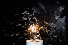 Nightfox-Pictures-1001