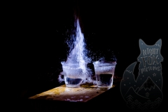 Nightfox-Pictures-1003