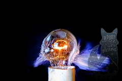 Nightfox-Pictures-1005