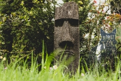 Nightfox-Pictures-1006