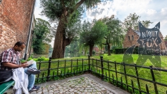 Nightfox-Pictures-1007